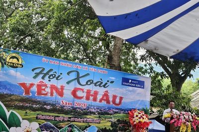 Sơn La: Khai mạc Hội xoài Yên Châu năm 2026