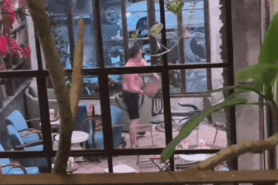 Xác minh vụ khách Tây đập phá, kẹp cổ thanh niên ở quán cà phê Đà Nẵng
