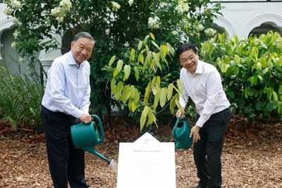 [Ảnh] Tổng Bí thư, Chủ tịch nước và Thủ tướng Singapore dự Lễ trồng cây tại Vườn Bách thảo Singapore