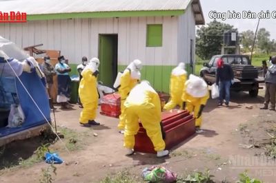 [Video] WHO: Chủng Ebola Bundibugyo khiến 30-50% bệnh nhân tử vong