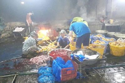 Đồng Tháp: Phát hiện 4 cơ sở giết mổ động vật trái phép