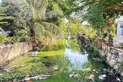 Kênh thoát nước ô nhiễm