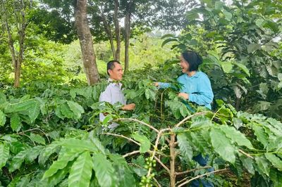 Khát vọng trên đồi Pun