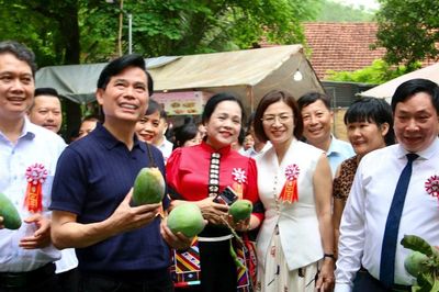 Tưng bừng Ngày hội xoài Yên Châu 2026