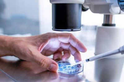 Bước tiến mới giúp người bệnh ung thư vú không cần hóa trị
