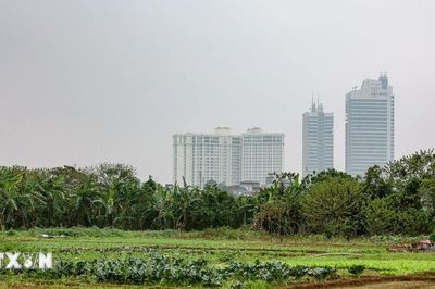 Hà Nội thông báo chấm dứt hoạt động 24 dự án chậm triển khai