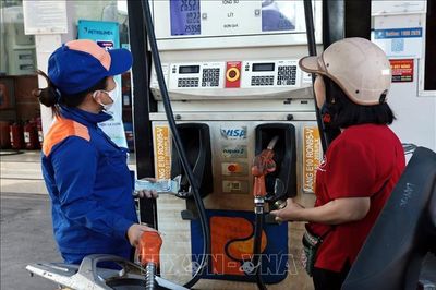 Yêu cầu đảm bảo nguồn cung xăng sinh học từ 1/6/2026