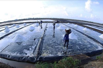 Kinh tế tư nhân chuyển biến tích cực về quy mô, chất lượng và niềm tin phát triển