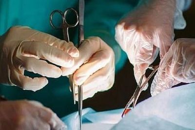 Người phụ nữ 39 tuổi phải cắt cụt chân sau khi cho chó ăn