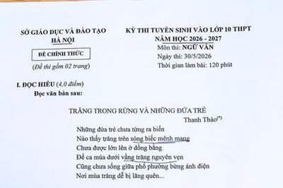 Đáp án môn Ngữ Văn vào lớp 10 Hà Nội