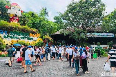 Đà Nẵng chặn 'chặt chém' mùa pháo hoa