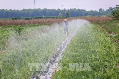 Giữa cao điểm nắng nóng, Tây Ninh hóa giải hạn hán bằng cách nào?