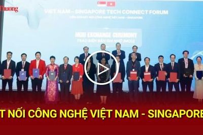 Kết nối công nghệ Việt Nam - Singapore