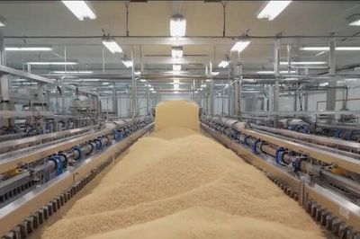 Ấn Độ trở thành nước sản xuất gạo lớn nhất thế giới