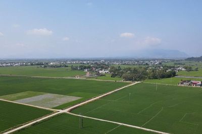 Liên kết sản xuất lúa giống nâng cao thu nhập
