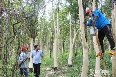 Nhịp sống mới ở vùng đồng bào dân tộc thiểu số