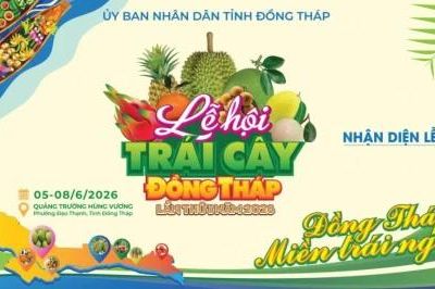 Lịch hoạt động tại Lễ hội Trái cây Đồng Tháp lần thứ I, năm 2026