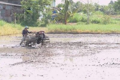 Nông dân phía Đông khẩn trương xuống giống vụ hè thu