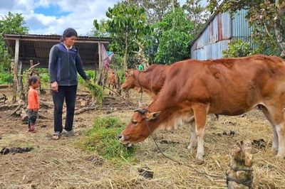 Gia Lai phấn đấu đến năm 2030 giảm tỷ lệ hộ nghèo đa chiều vùng đồng bào DTTS và miền núi xuống dưới 10%