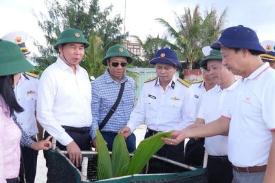 Từ Tiên Nữ đến Núi Le C: Khát vọng xanh giữa trùng khơi