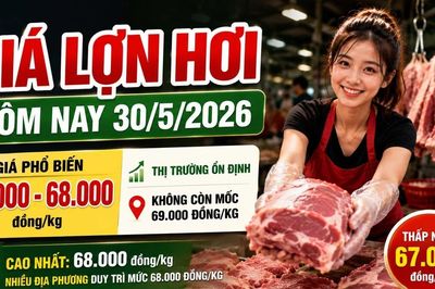 Giá lợn hơi hôm nay 30/5: Cả nước phổ biến mức 67.000–68.000 đồng/kg