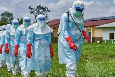 WHO tăng tốc tìm vaccine, thuốc điều trị giữa lúc Ebola bùng phát tại Congo
