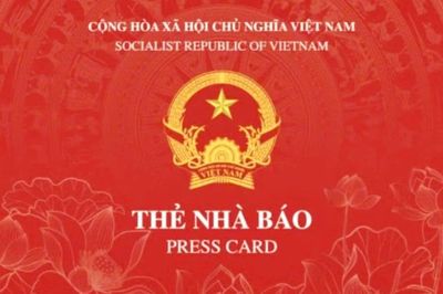 Thẻ nhà báo mới hiển thị thông tin gì khi quét mã QR?