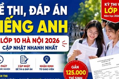 Đề thi, đáp án môn Tiếng Anh lớp 10 Hà Nội 2026 chính thức mới nhất