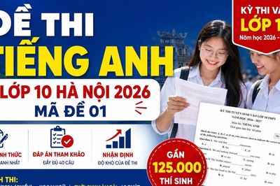 Đáp án đề thi Tiếng Anh lớp 10 Hà Nội 2026 mã đề 01 mới nhất
