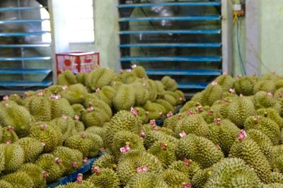 Lâm Đồng siết quản lý mã số vùng trồng sầu riêng xuất khẩu