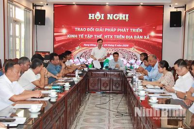 Đẩy mạnh phát triển kinh tế tập thể, HTX trên địa bàn xã Rạng Đông