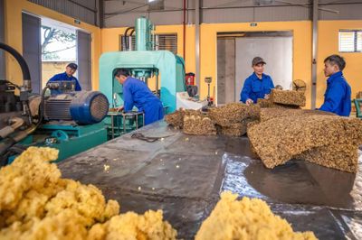 Không ngừng sáng tạo, cải tiến trong doanh nghiệp