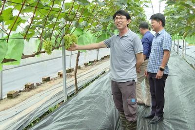 Phát triển 'nông nghiệp đô thị' theo hướng hữu cơ, an toàn