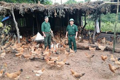 Những cựu chiến binh trên 'mặt trận' mới