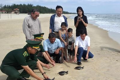 'Duyên nợ' với rùa biển