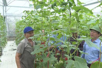 Quảng Ninh tạo chuyển biến trên nhiều lĩnh vực