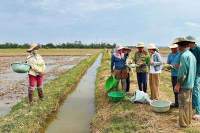Vì hệ sinh thái đồng ruộng