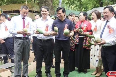Khai mạc Ngày hội xoài Yên Châu năm 2026