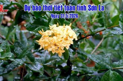 Dự báo thời tiết toàn tỉnh Sơn La ngày 31/5/2026