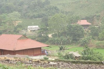 Người dân La Hiên làm giàu từ rừng