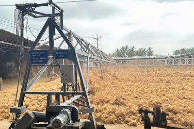 Khuyến công quốc gia: Đề án điểm cú hích cho chuỗi giá trị dừa Vĩnh Long