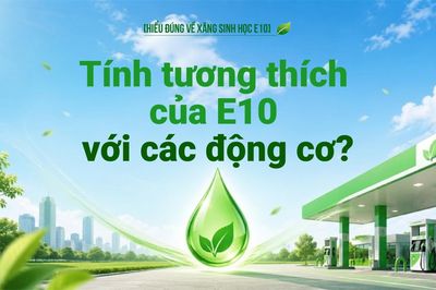 Tính tương thích của E10 với các động cơ?