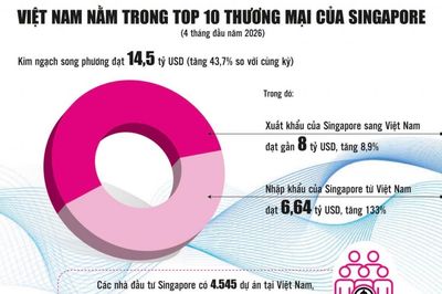 Việt Nam thịnh vượng và mạnh mẽ sẽ mang lại lợi ích to lớn cho Singapore