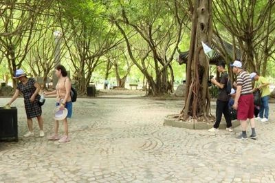 Ninh Bình thực hiện giảm thiểu rác thải nhựa, phát triển du lịch xanh