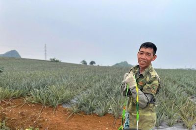 Hạ nhiệt giá phân bón: Lời giải từ chính sách thuế và chuỗi liên kết