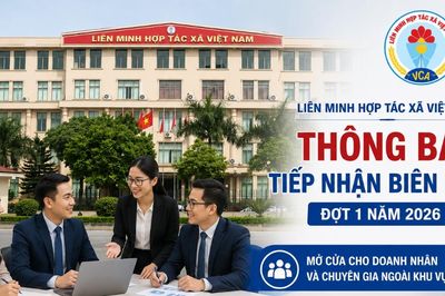 Liên minh Hợp tác xã Việt Nam thông báo tiếp nhận 30 biên chế