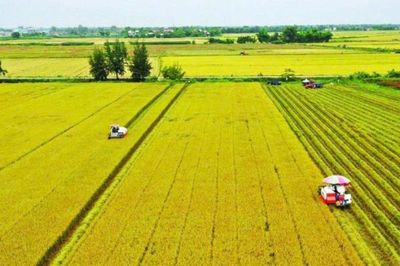 Không chỉ tín dụng, cần hoàn thiện hệ sinh thái tài chính cho nông nghiệp xanh