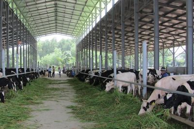 Thúc đẩy ứng dụng công nghệ số để xanh hóa chuỗi giá trị nông sản