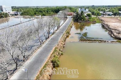 Tháo gỡ vướng mắc trong xử lý đất bùn vùng nuôi tôm ven biển