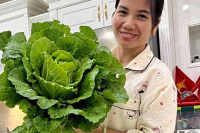 Mẹ 5 con ở Quảng Ninh biến sân thượng thành khu vườn, 11 năm gần như không mua rau ngoài chợ